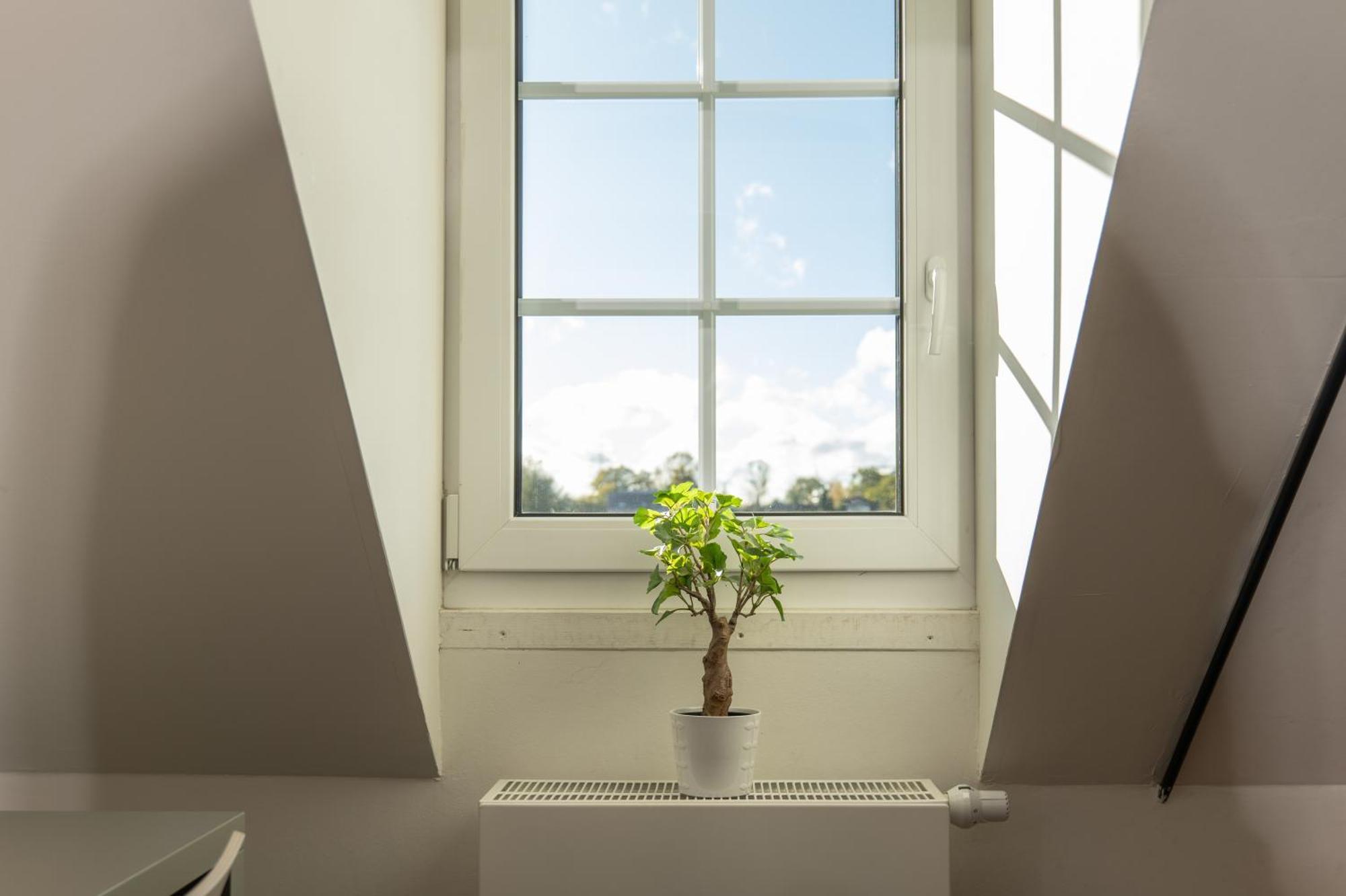 Haus Overbach Jülich Extérieur photo
